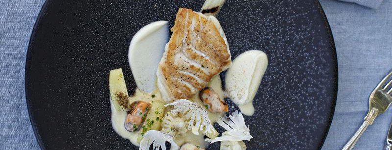 A Cheat's Guide to Gourmet Cooking
