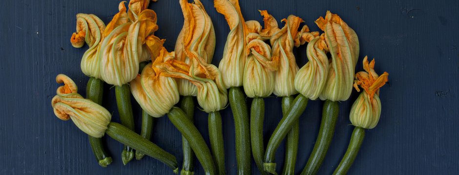 Flavours of Provence