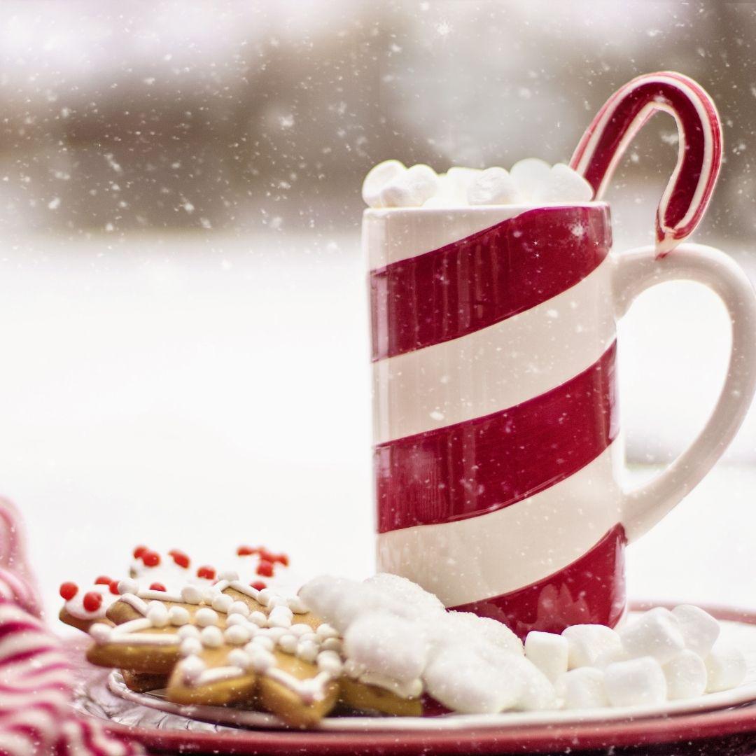 Recipe for Snowy Snowy Pecany Christmas Balls! | Dublin Cookery School