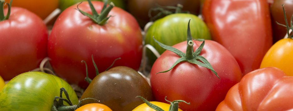 Cooking with Summer Bounty