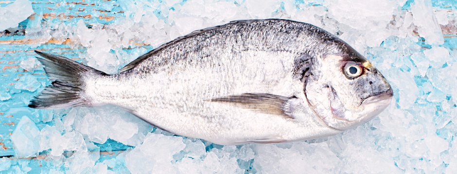 Sensational Seafood
