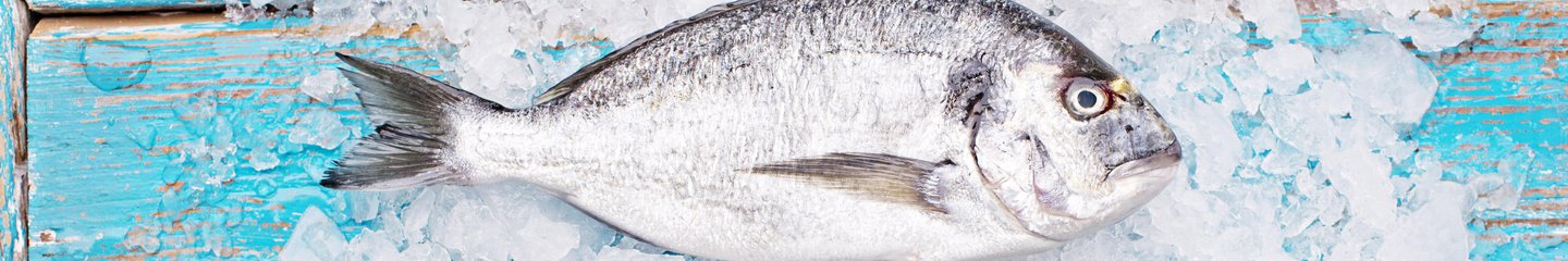 Seafood recipes