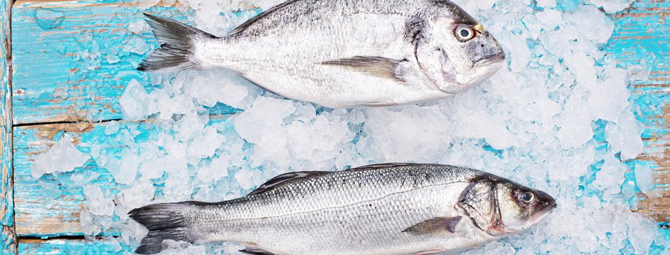 Sensational Seafood