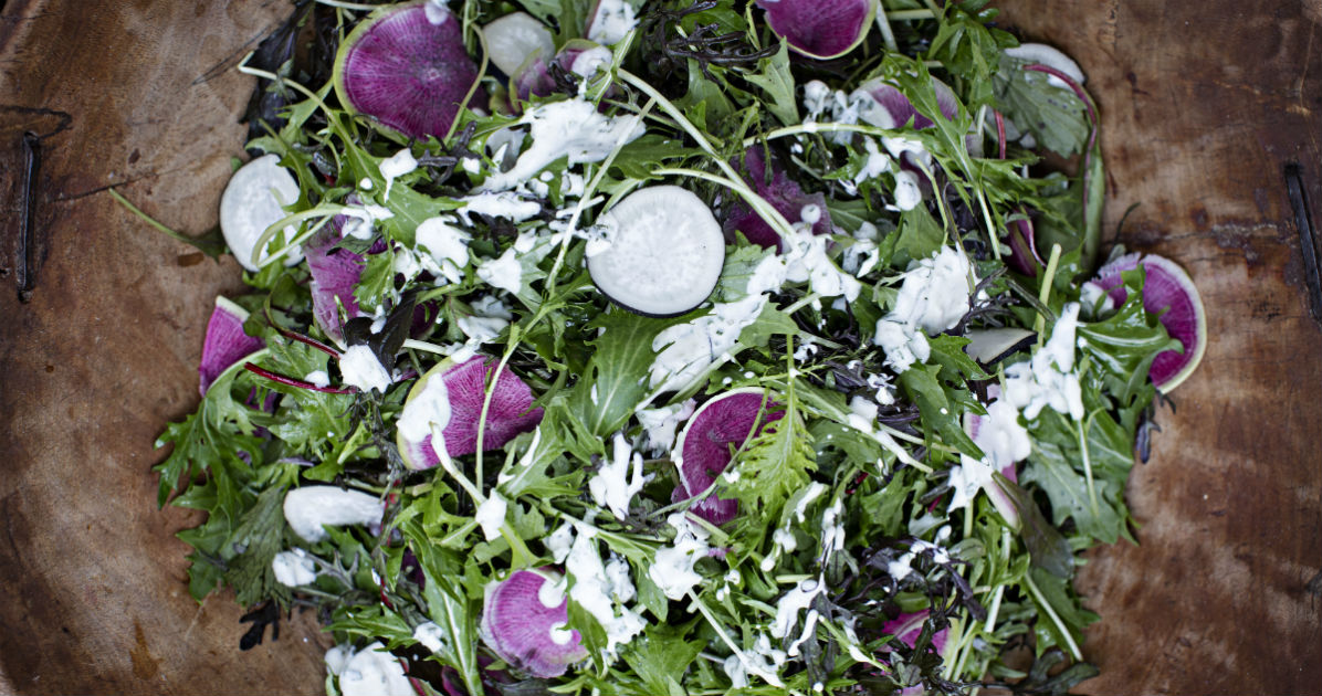 Recipe for Yoghurt Herb Dressing | Dublin Cookery School