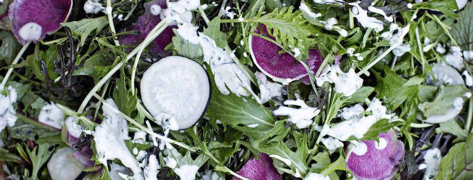 Healthy Eating Made Easy: 5 Day Course
